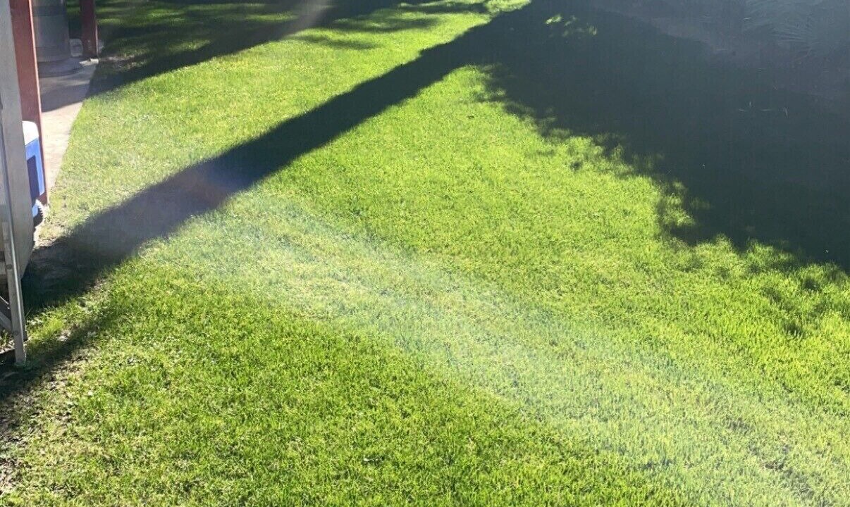 Photo of Outdoor in Coachella