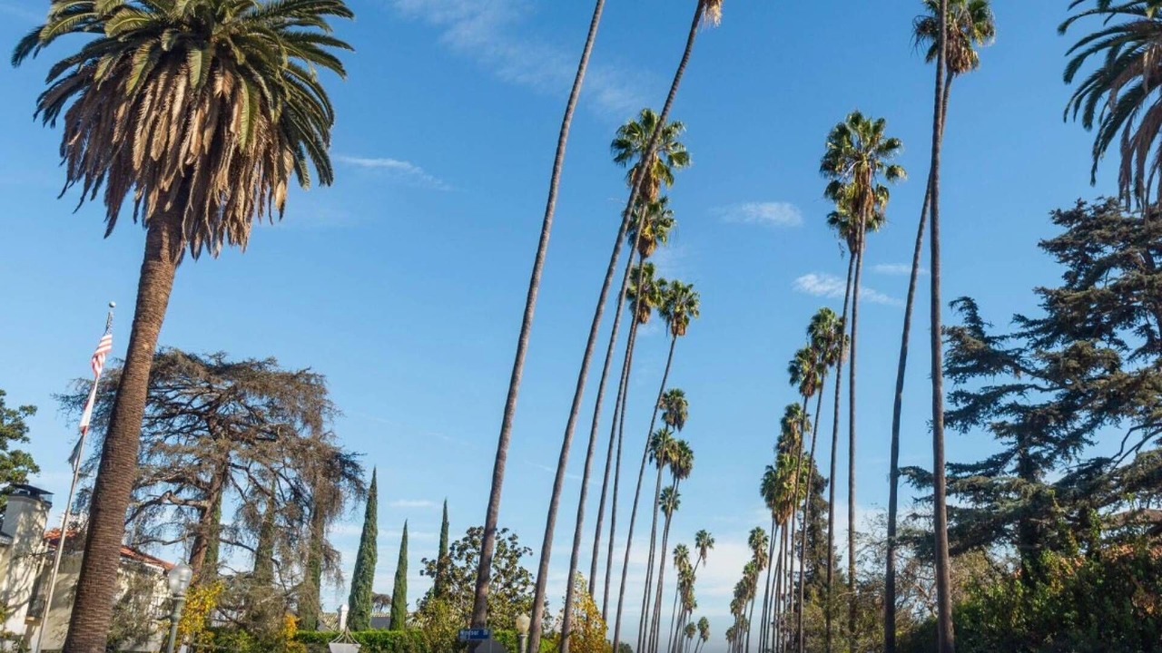 Photo of Others in Hollywood