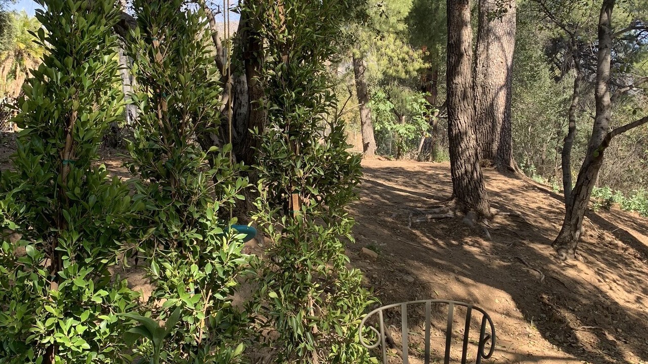 Photo of Outdoor in Altadena