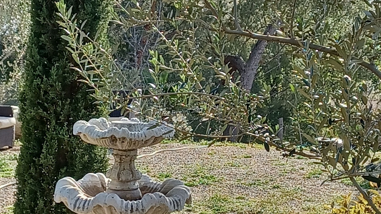 Photo of Outdoor in Altadena