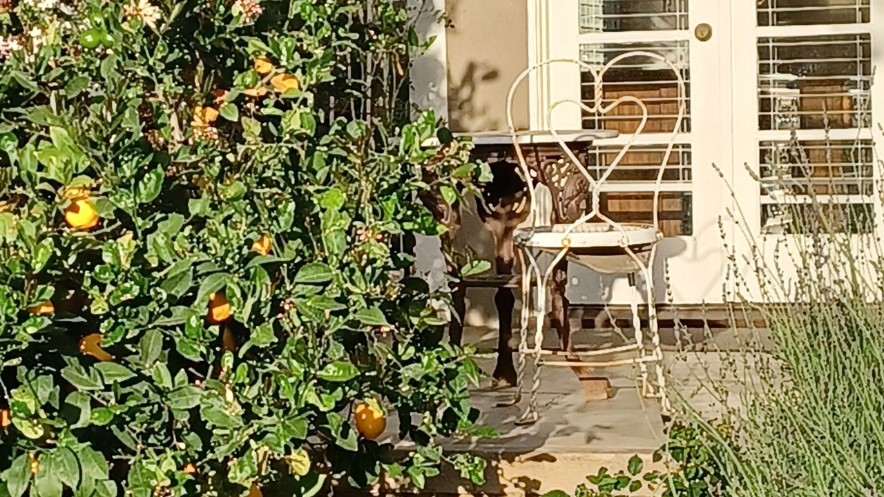 Photo of Outdoor in Altadena
