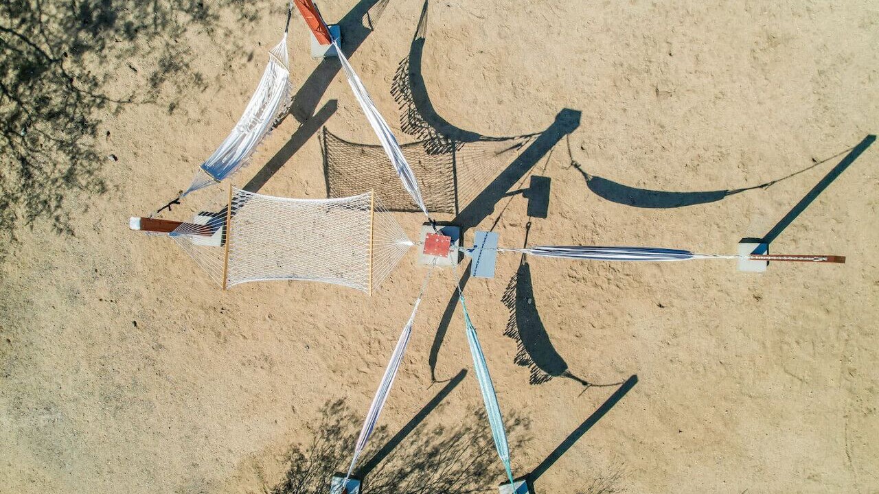 Photo of Others in Joshua Tree
