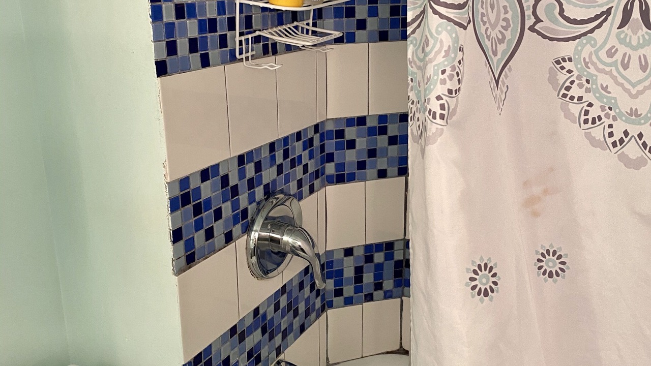 Photo of Bathroom in Los Feliz