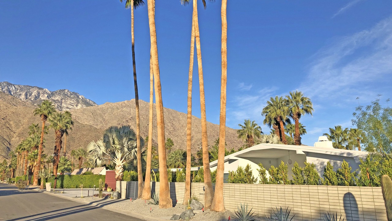 Photo of Outdoor in Twin Palms