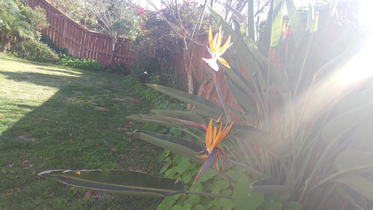 Photo of Outdoor in San Marcos