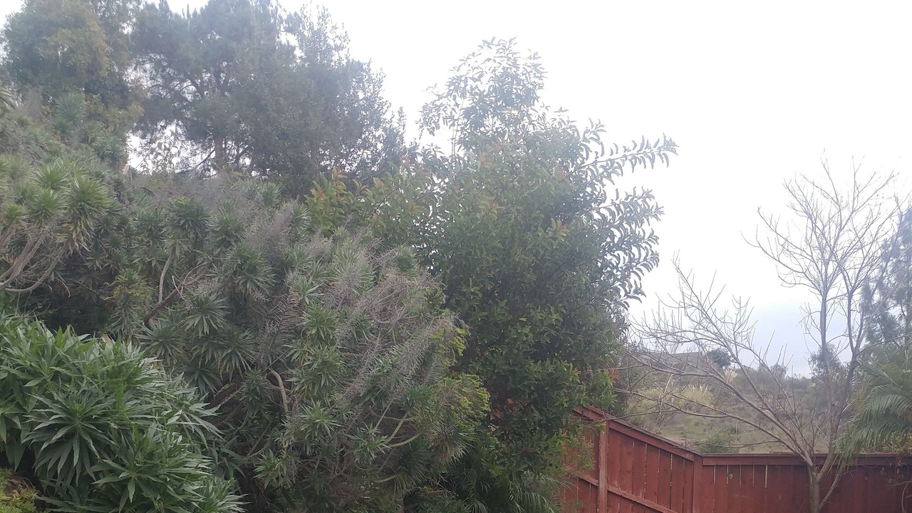 Photo of Outdoor in San Marcos