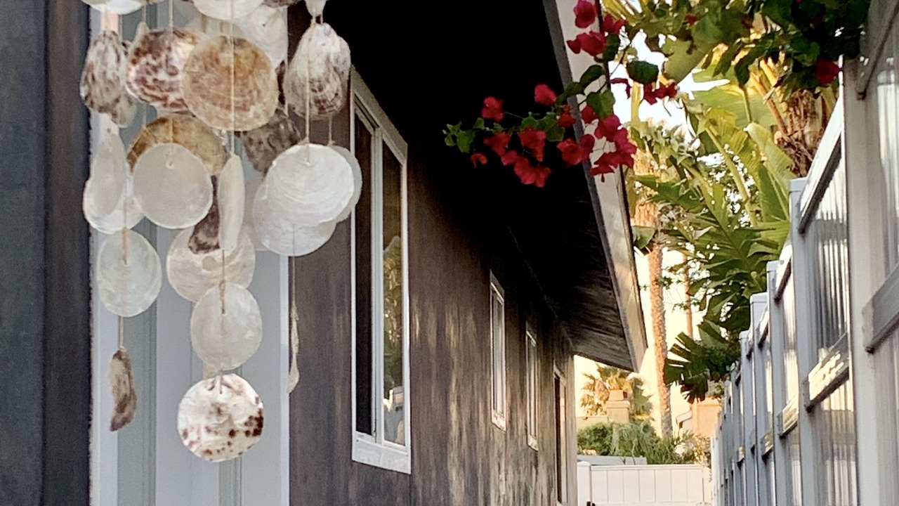 Photo of Outdoor in Oxnard Shores
