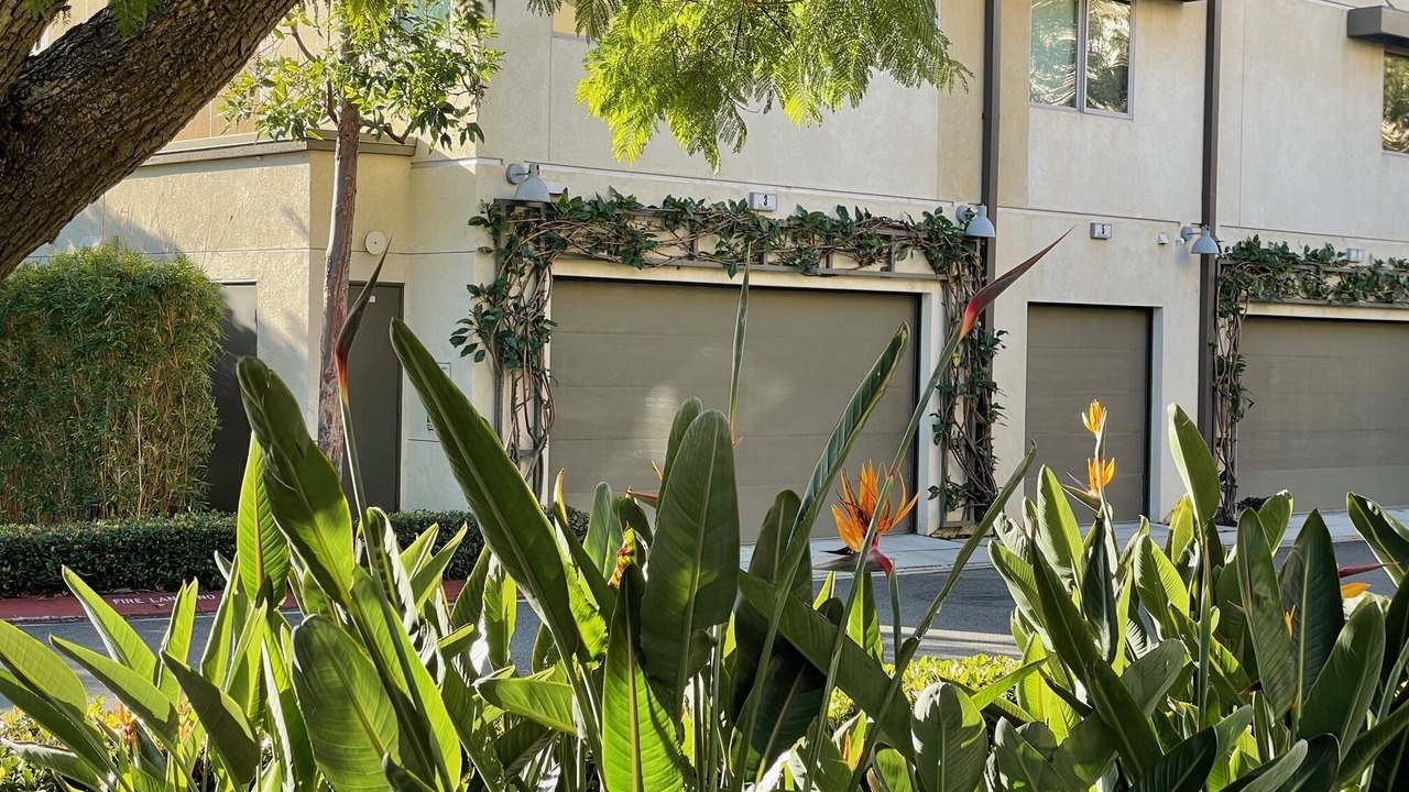 Photo of Outdoor in Irvine Business Complex