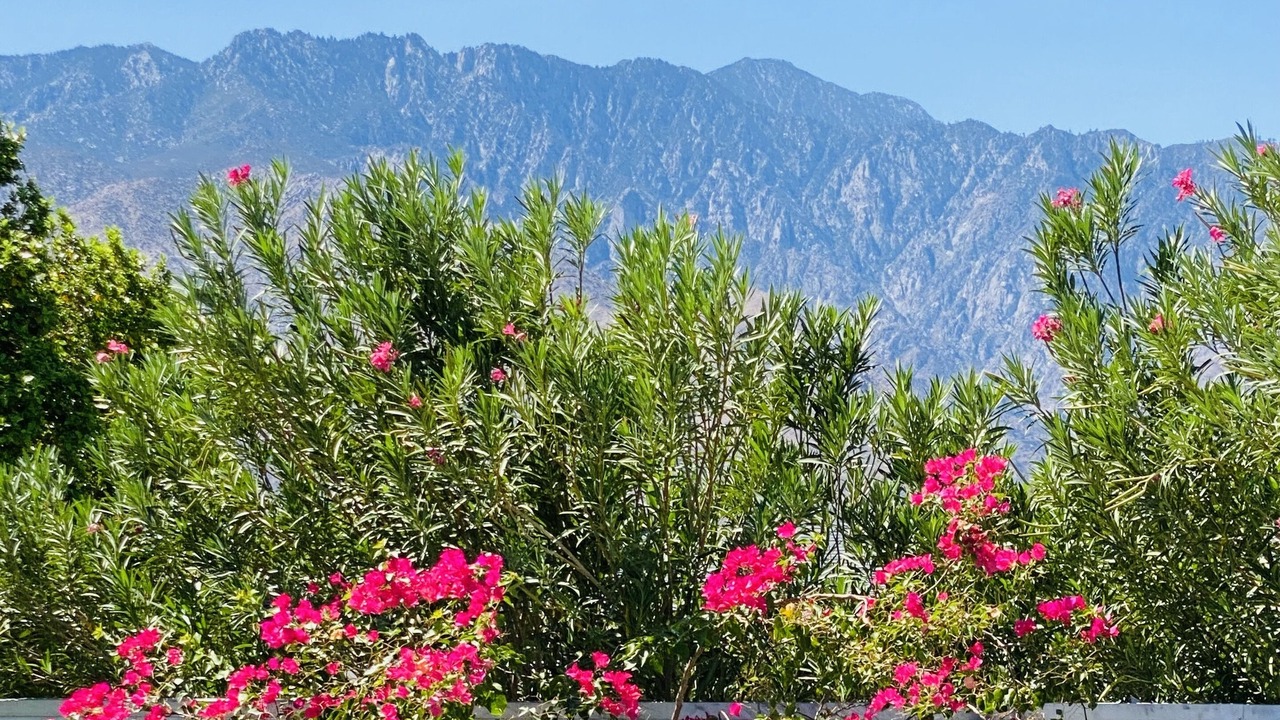 Photo of Others in Desert Park Estates