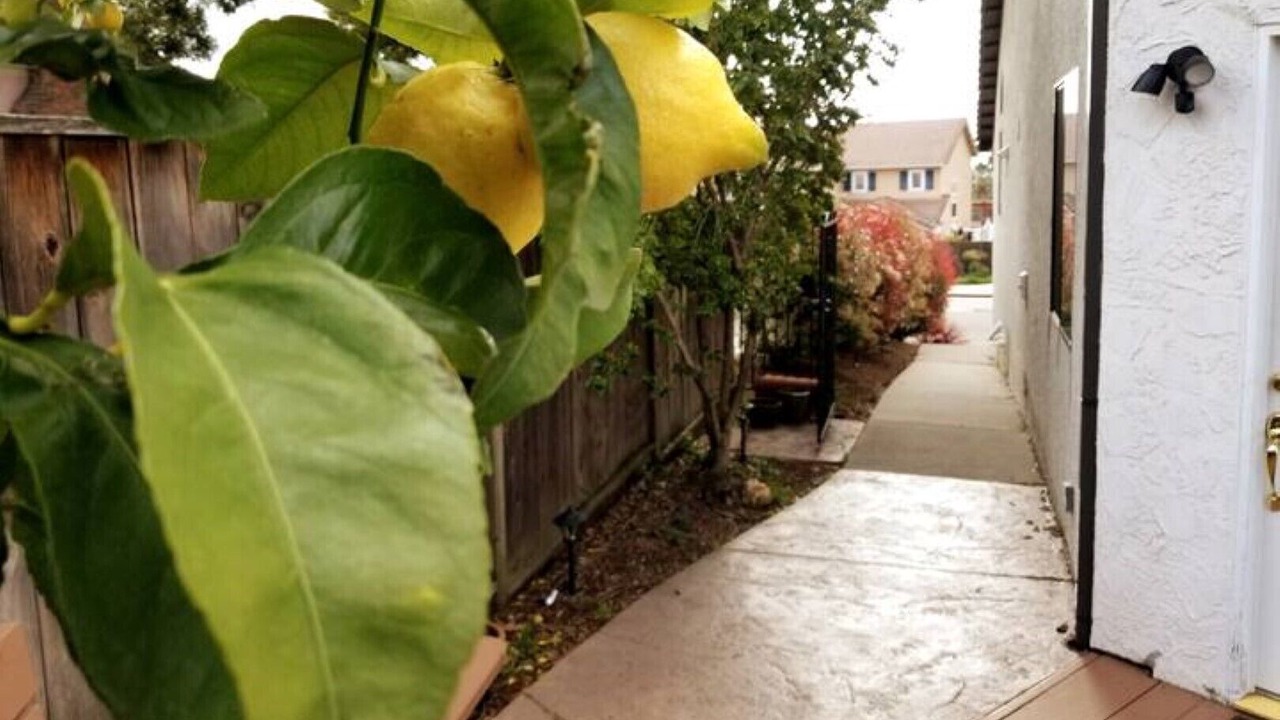 Photo of Outdoor in Castro Valley