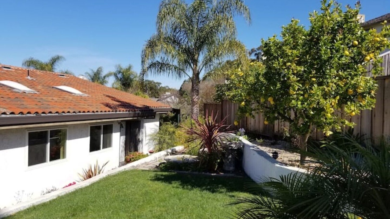Photo of Outdoor in Castro Valley