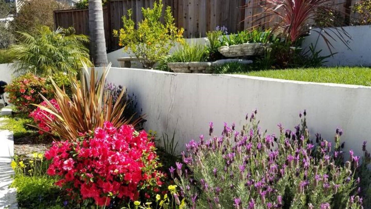 Photo of Outdoor in Castro Valley