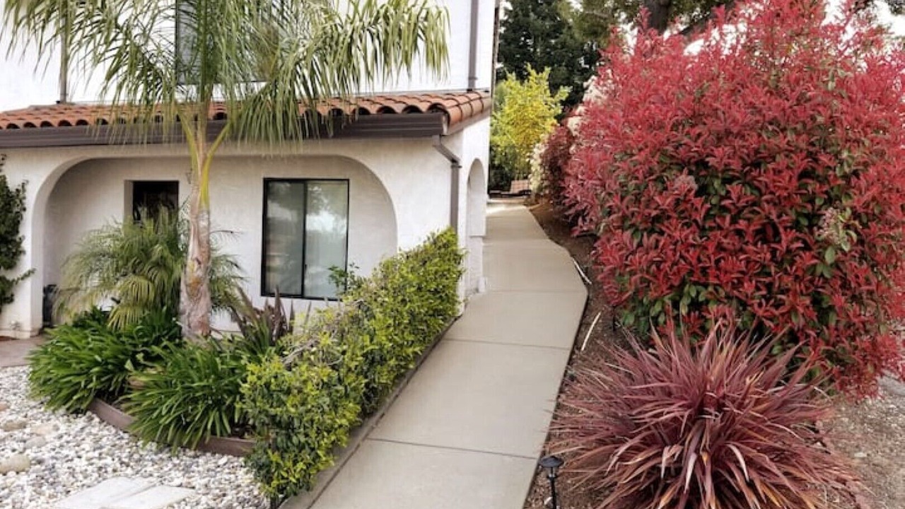 Photo of Outdoor in Castro Valley
