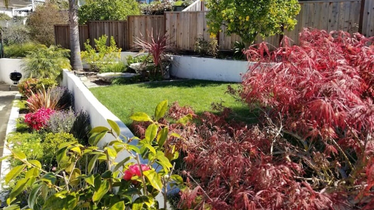Photo of Outdoor in Castro Valley