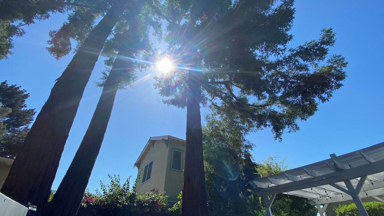 Photo of Outdoor in Morgan Hill