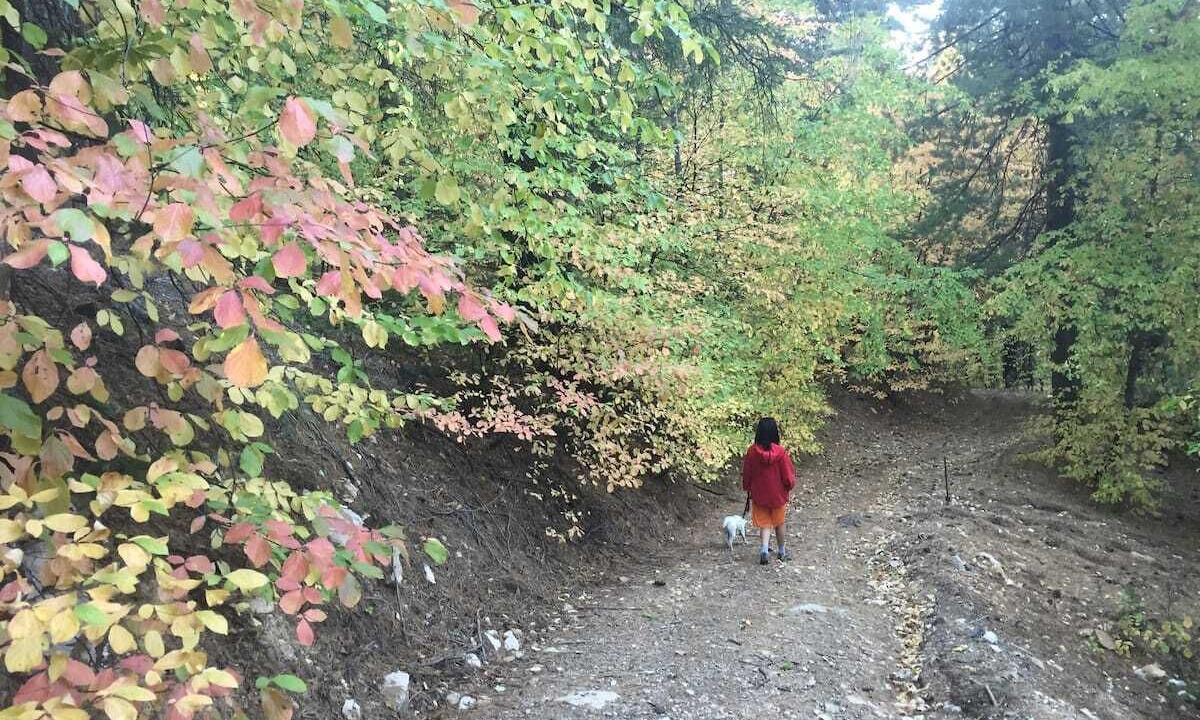 Photo of Others in Lake Arrowhead