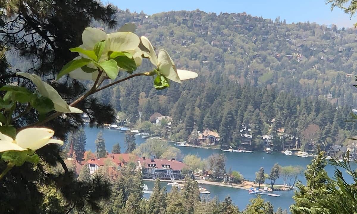 Photo of Outdoor in Lake Arrowhead