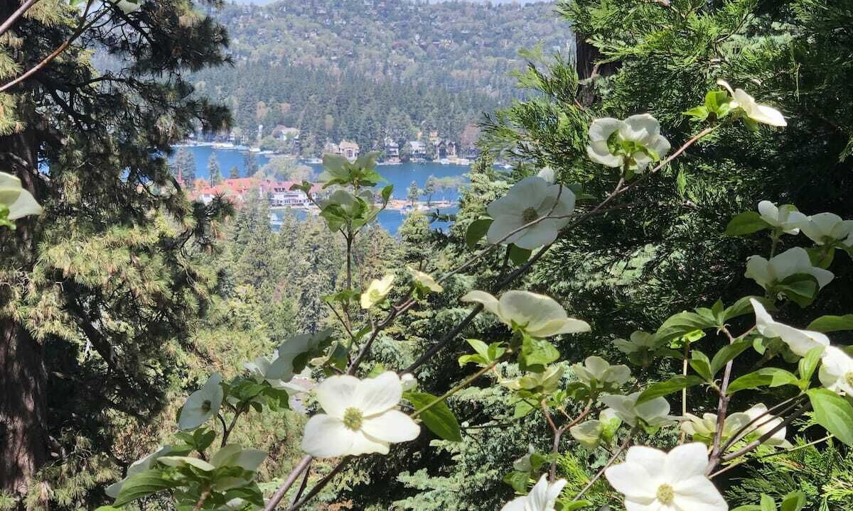 Photo of Outdoor in Lake Arrowhead