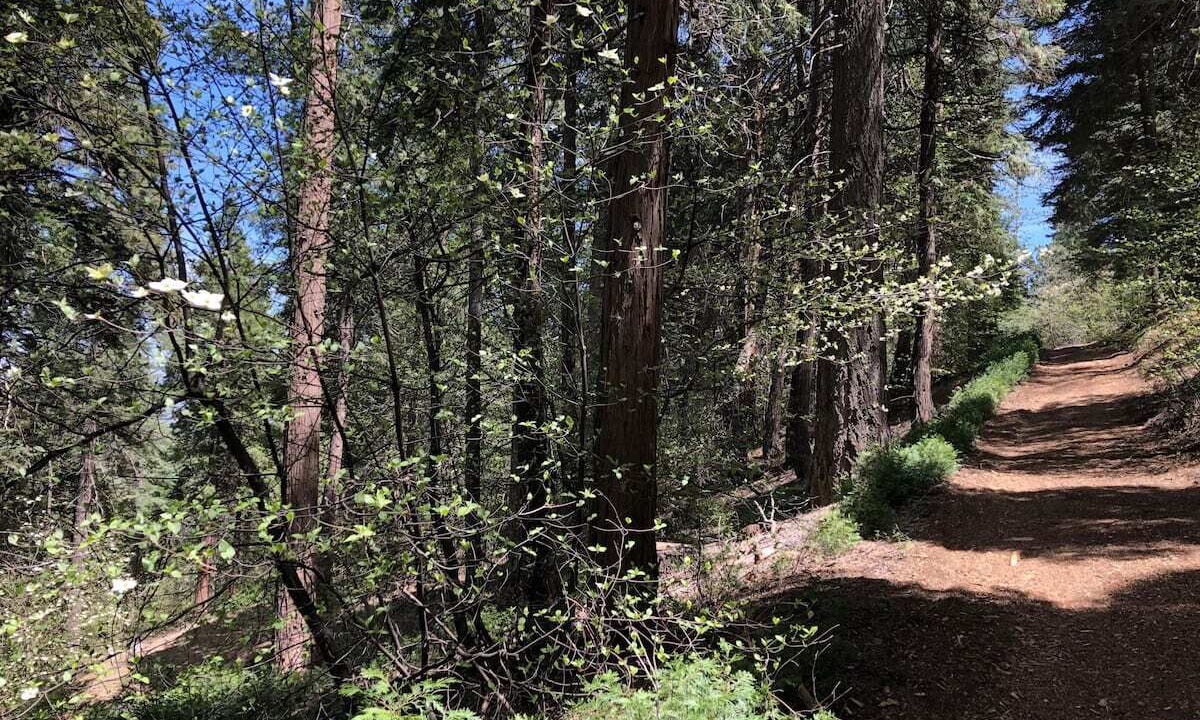 Photo of Others in Lake Arrowhead