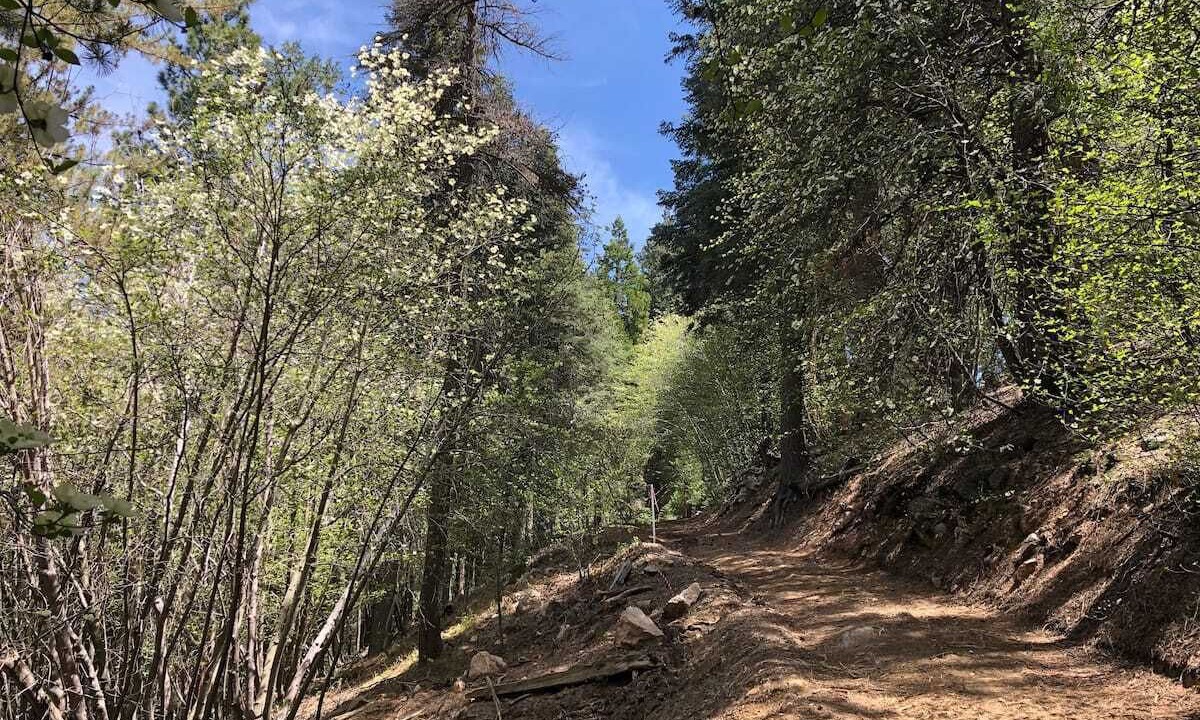 Photo of Others in Lake Arrowhead