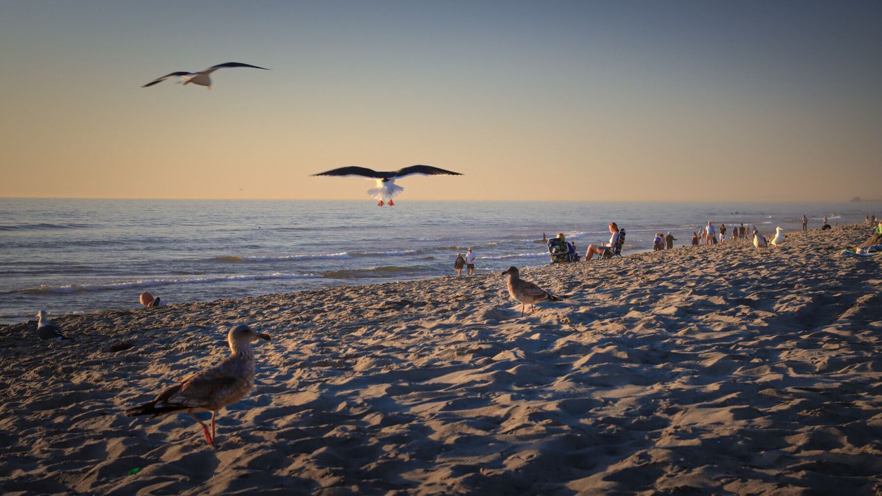 Photo of Others in Carlsbad