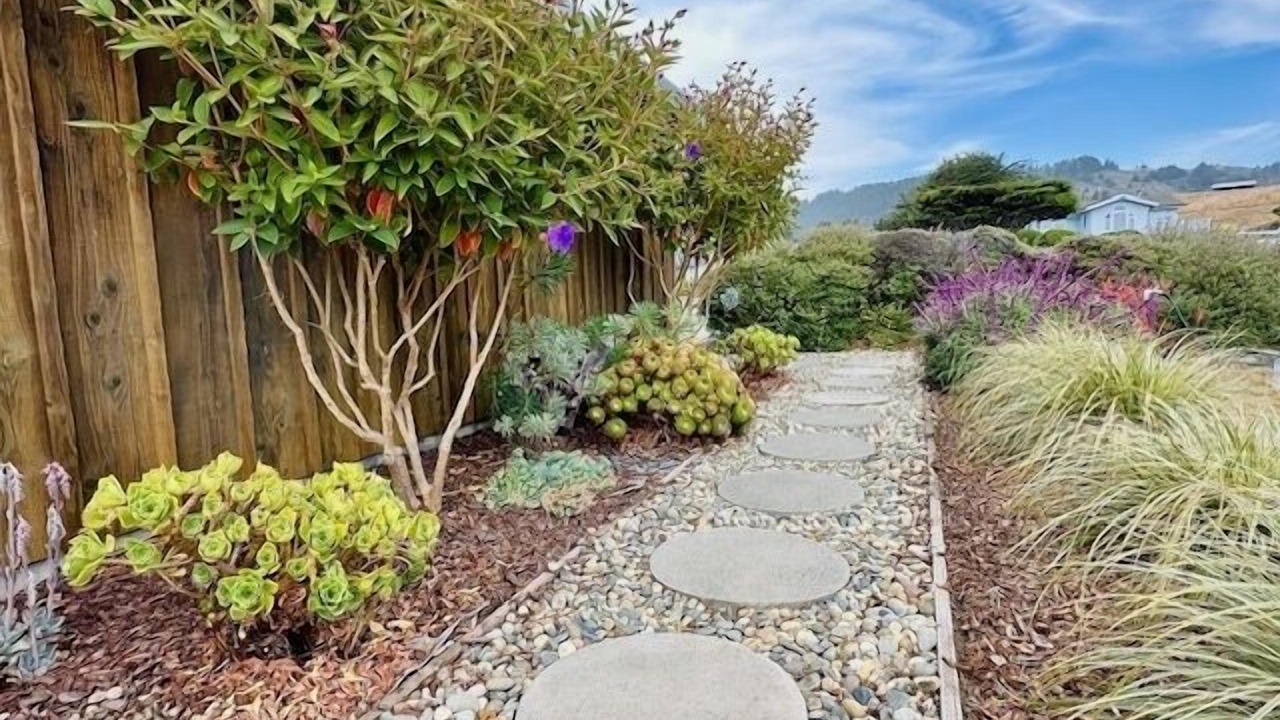 Photo of Outdoor in Fort Bragg