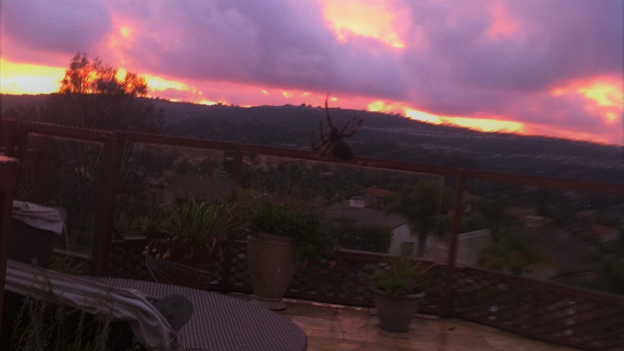 Photo of Others in Laguna Niguel