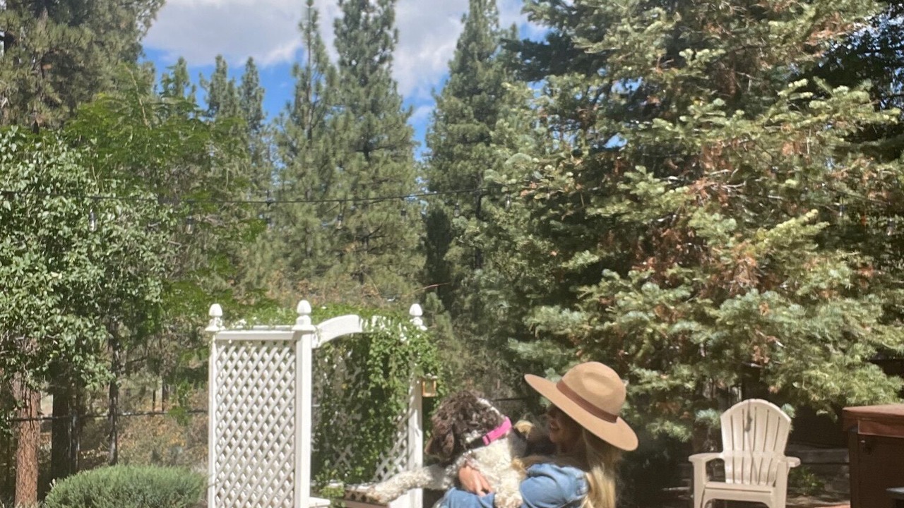 Photo of Others in Fox Farm