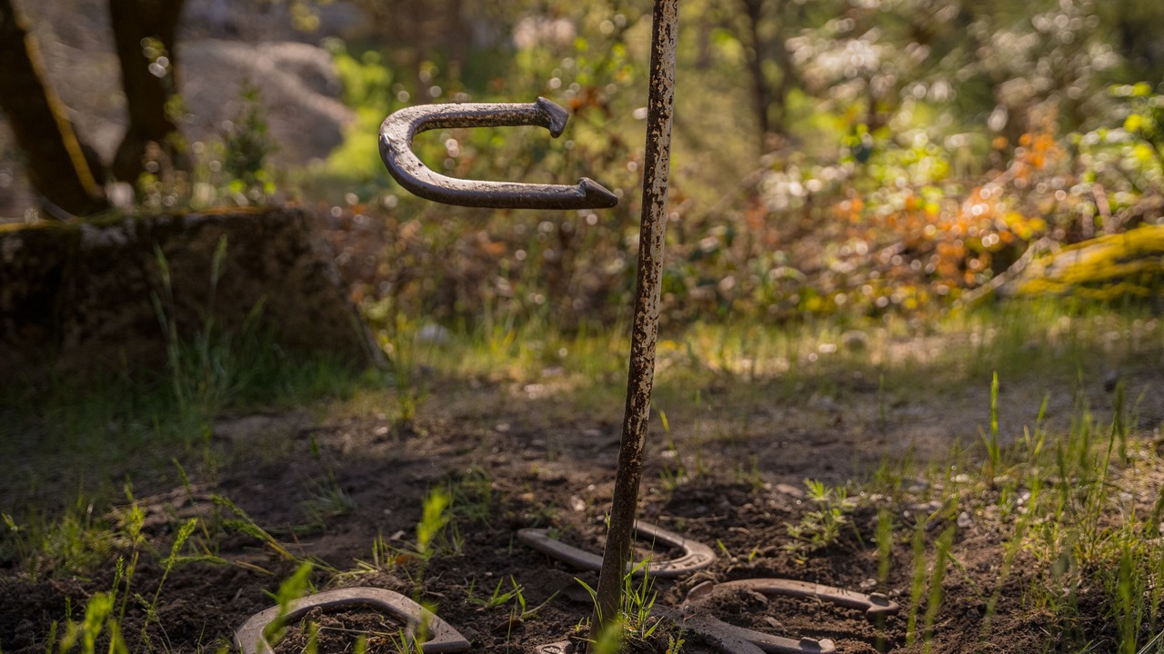Photo of Others in Yosemite Forks