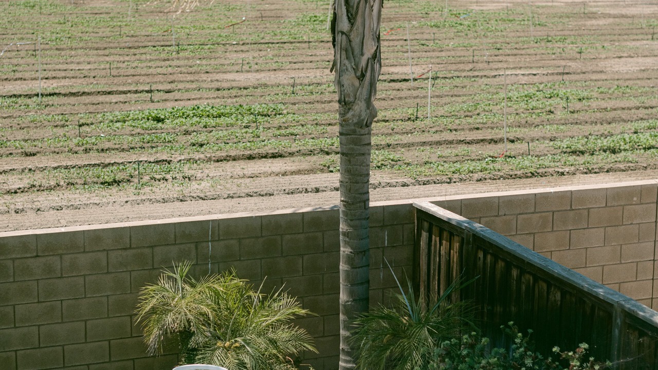 Photo of Outdoor in Hemet