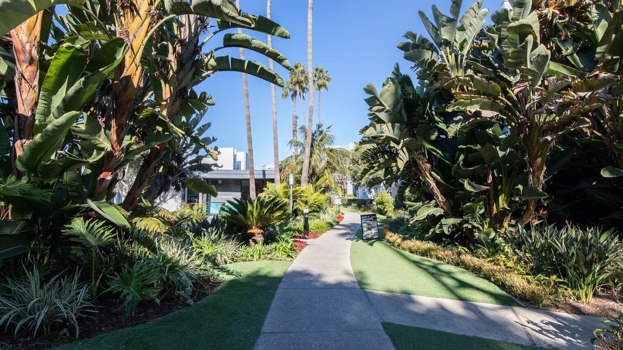 Photo of Outdoor in South Redondo