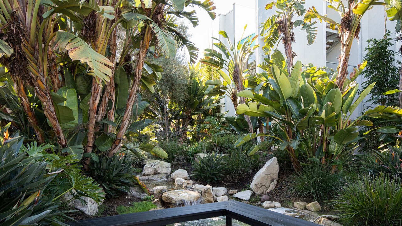 Photo of Outdoor in South Redondo