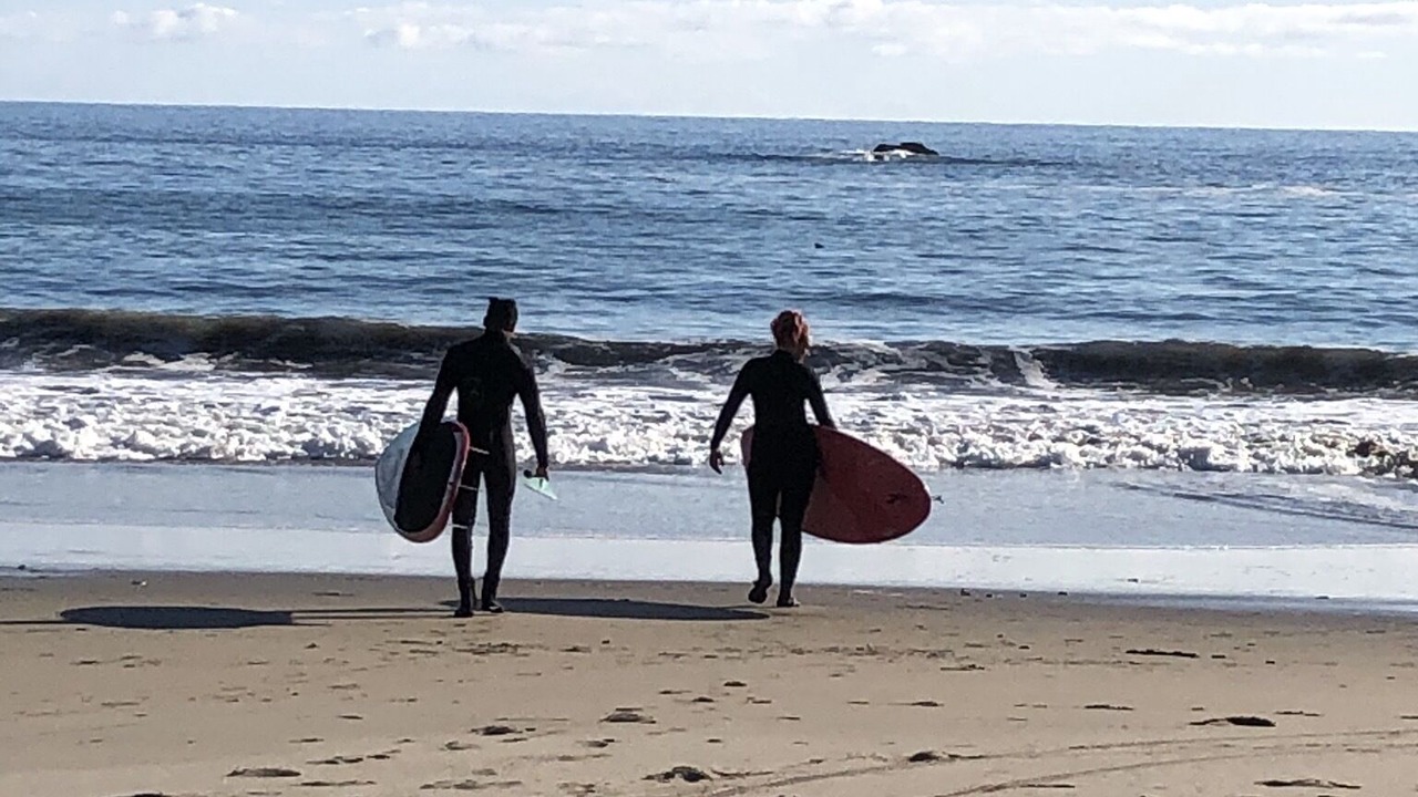 Photo of Others in Anchor Bay