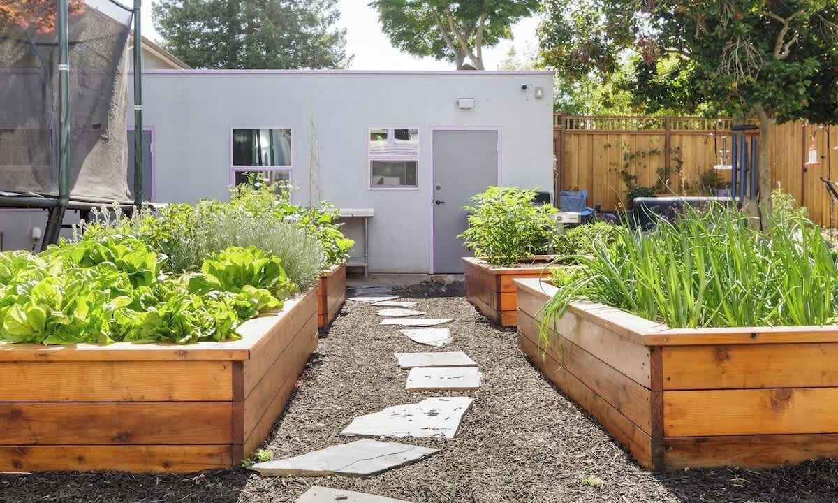 Photo of Outdoor in Berkeley