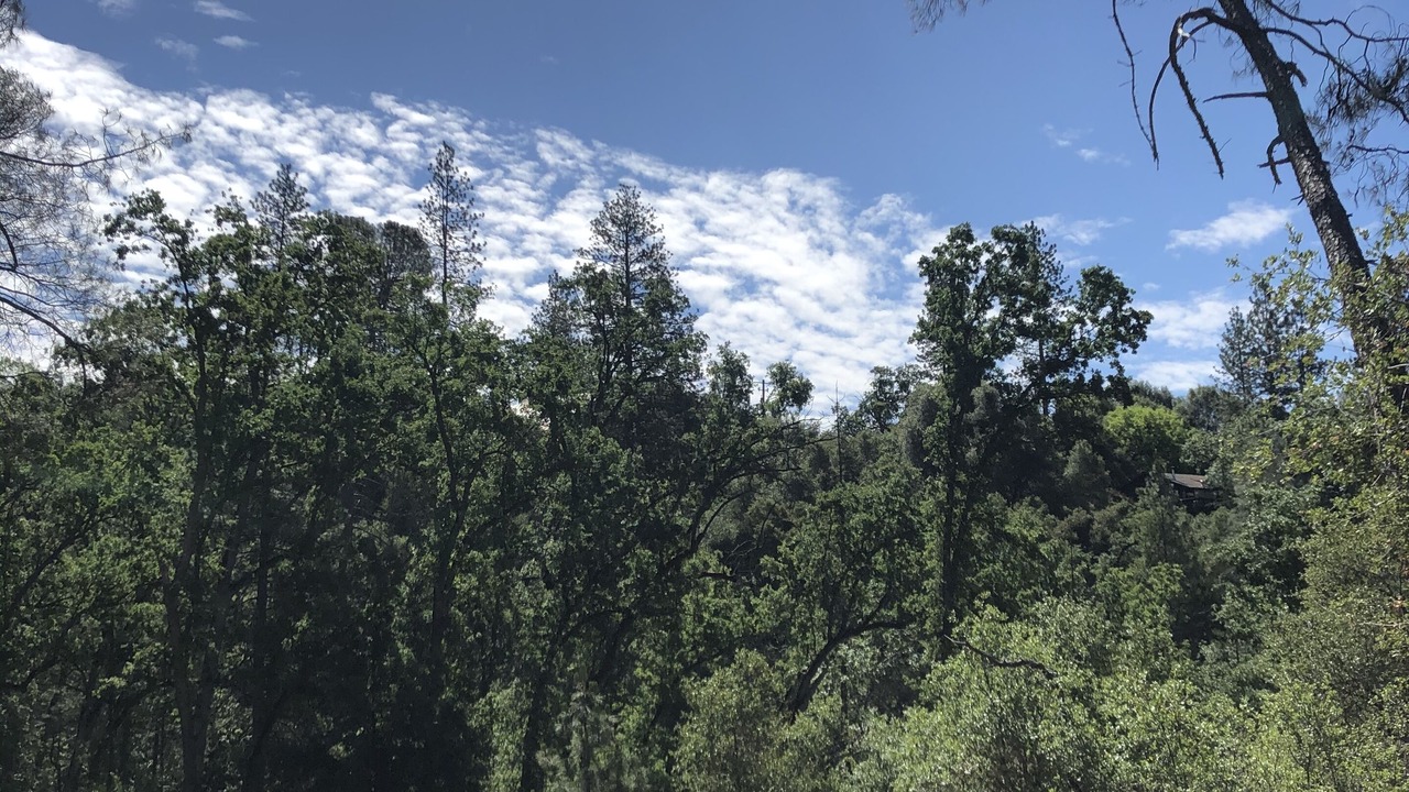 Photo of Outdoor in Wishon
