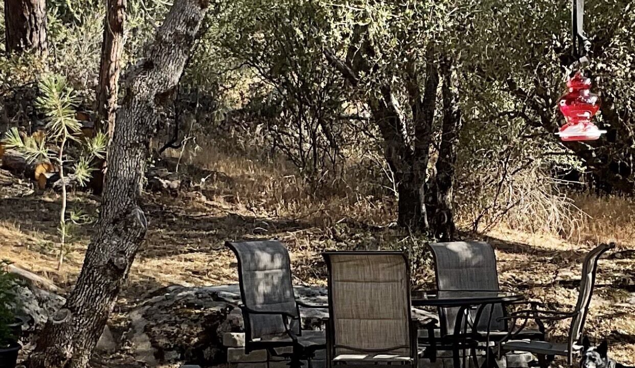 Photo of Patio Balcony in Wishon