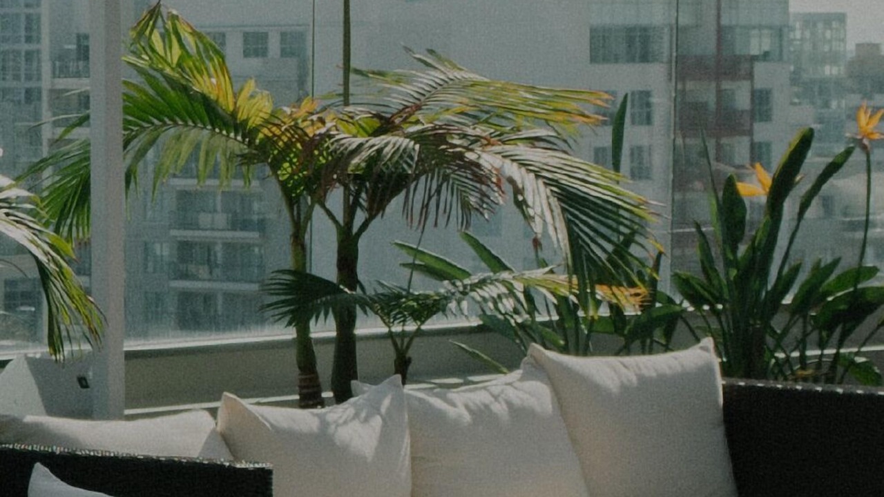 Photo of Outdoor in Studio City
