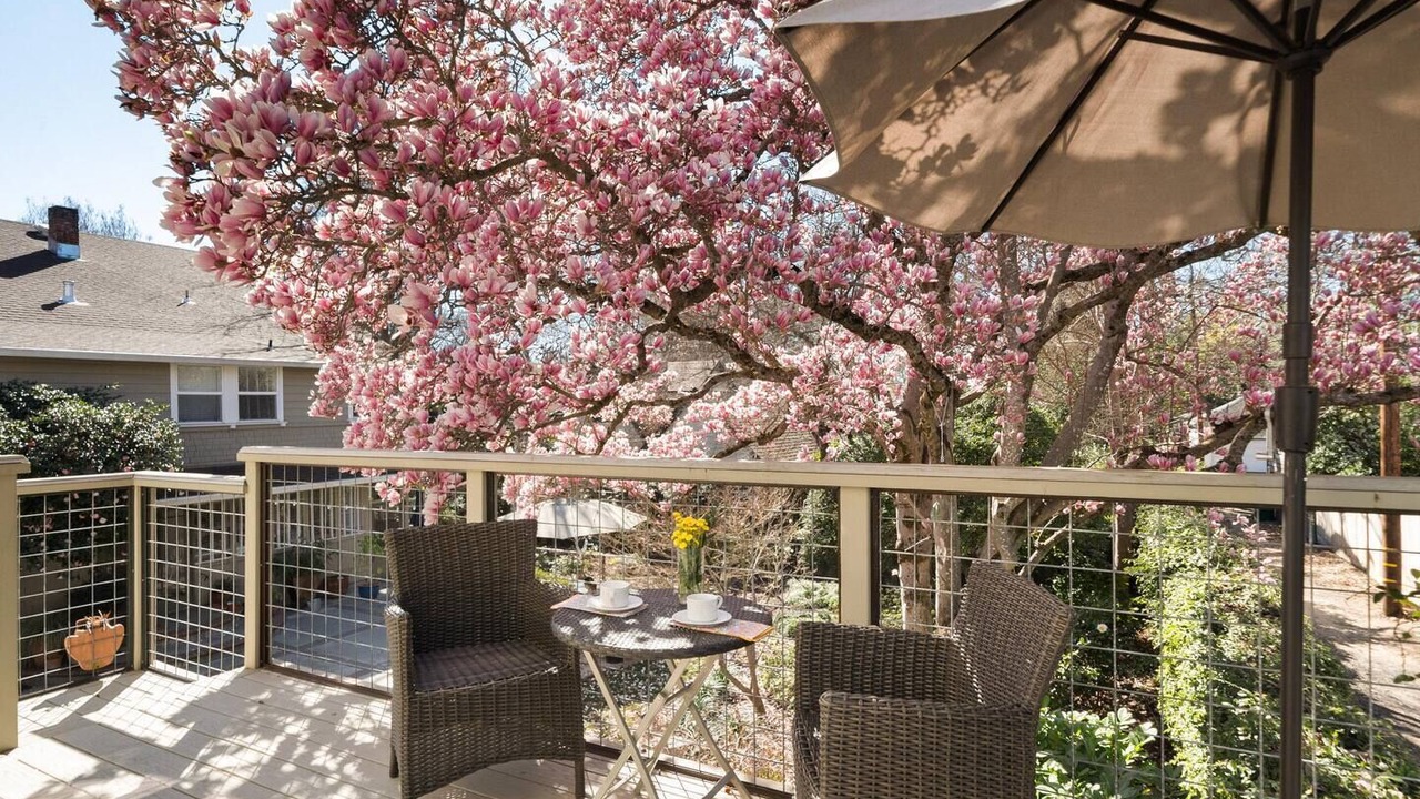 Photo of Outdoor in Chico