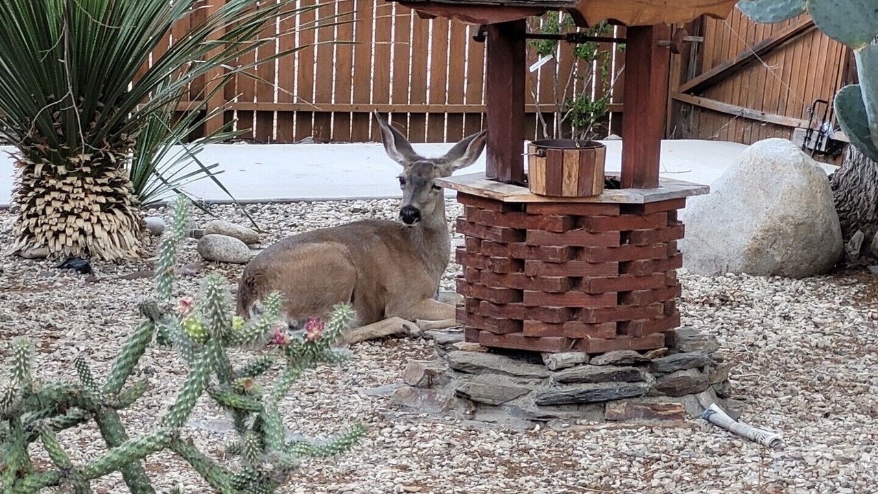 Photo of Outdoor in Kernville