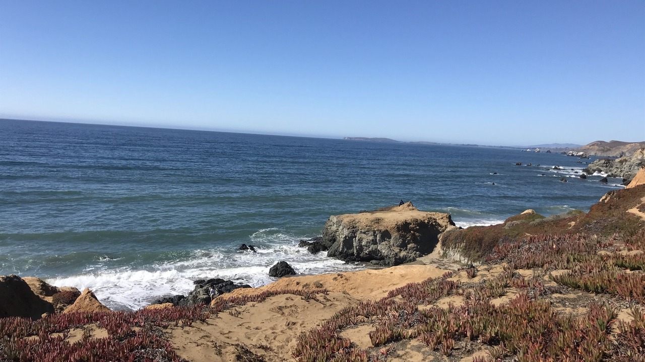 Photo of Others in Dillon Beach