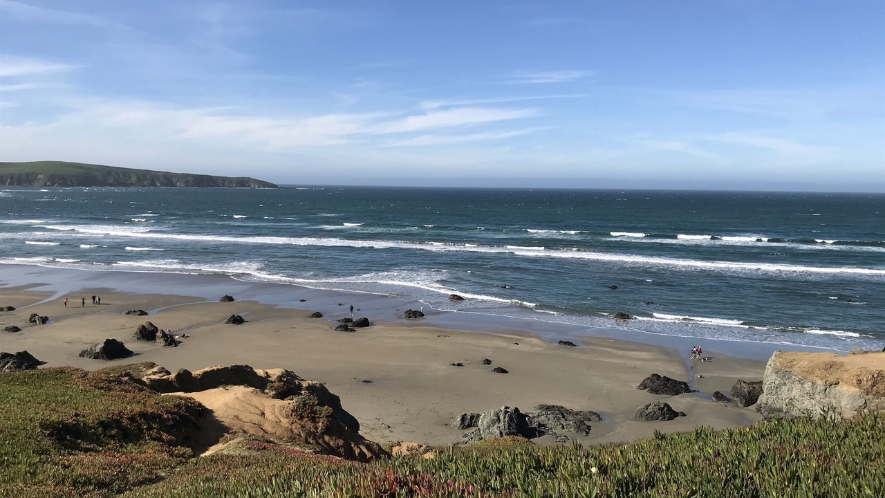 Photo of Others in Dillon Beach