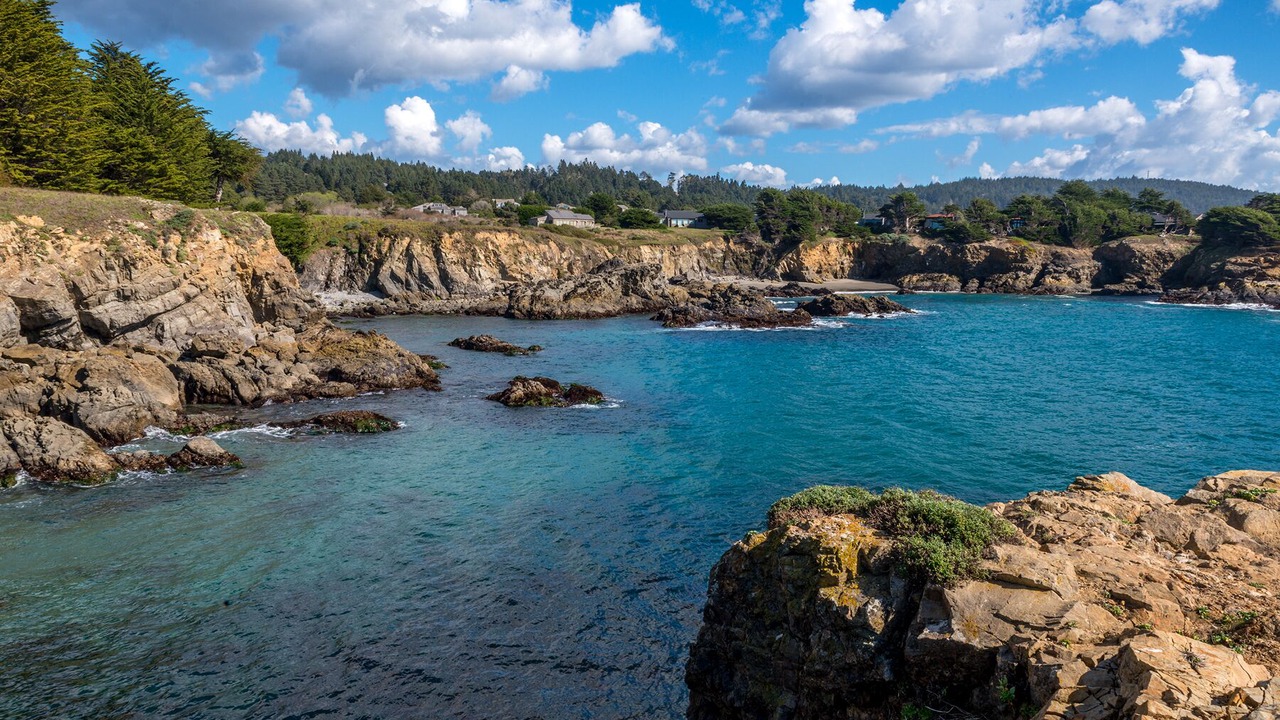 Photo of Others in Sea Ranch