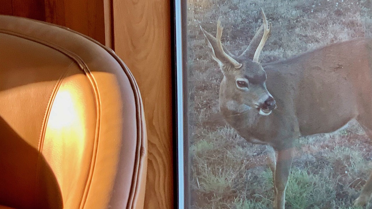 Photo of Bedroom in Sea Ranch