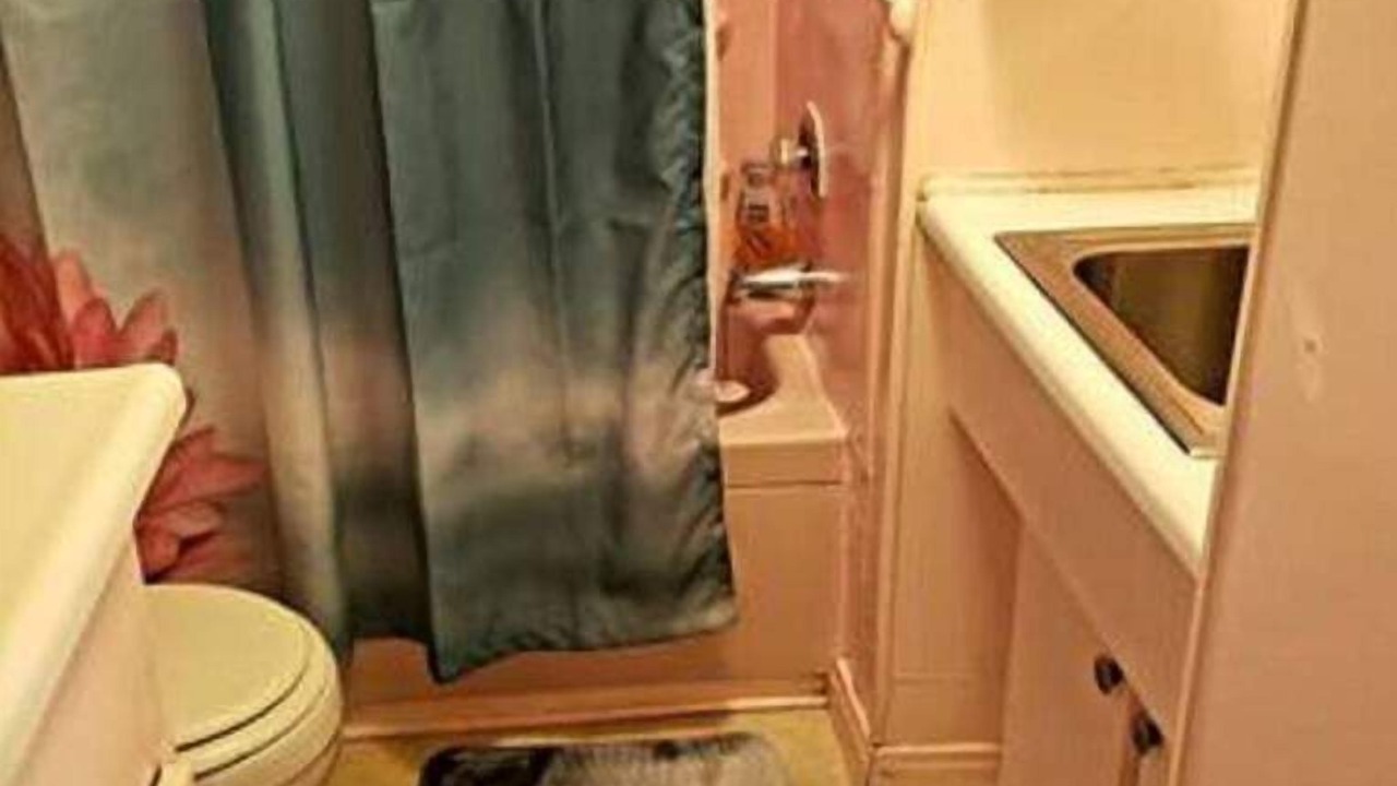 Photo of Bathroom in Newberry Springs