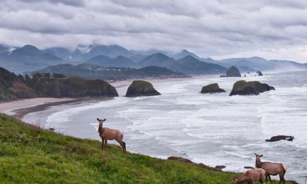 Photo of Others in Crescent City