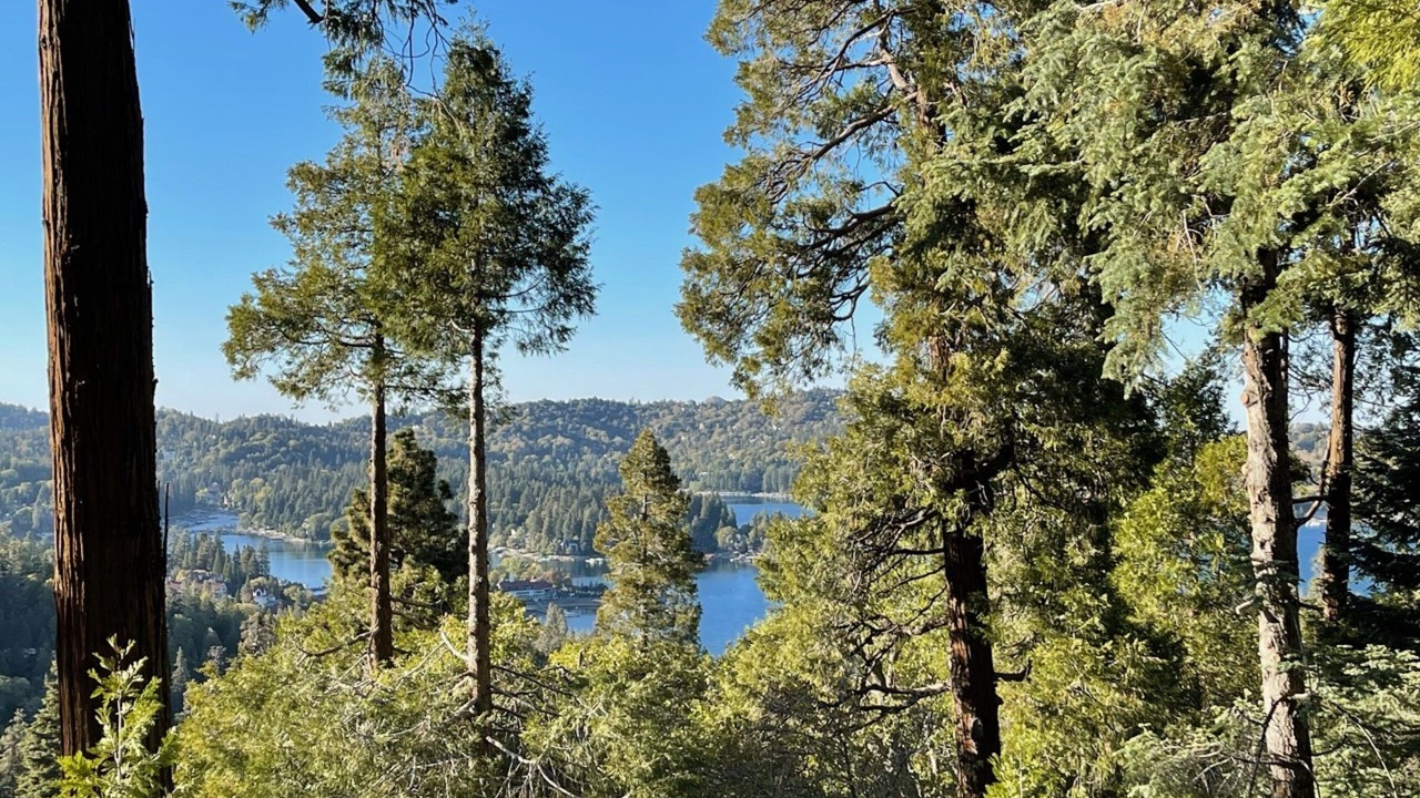 Photo of Others in Lake Arrowhead