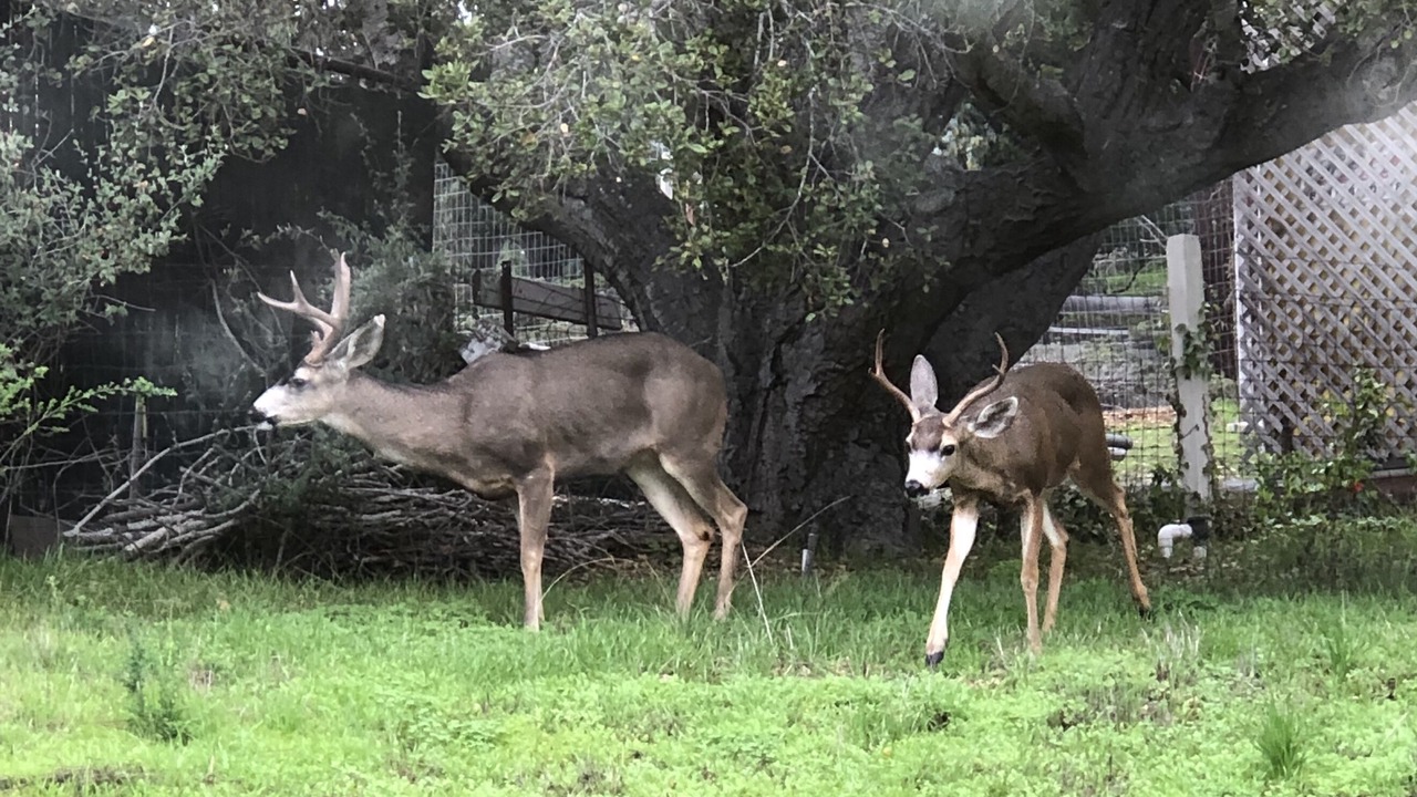 Photo of Outdoor in Rancho Rio Vista