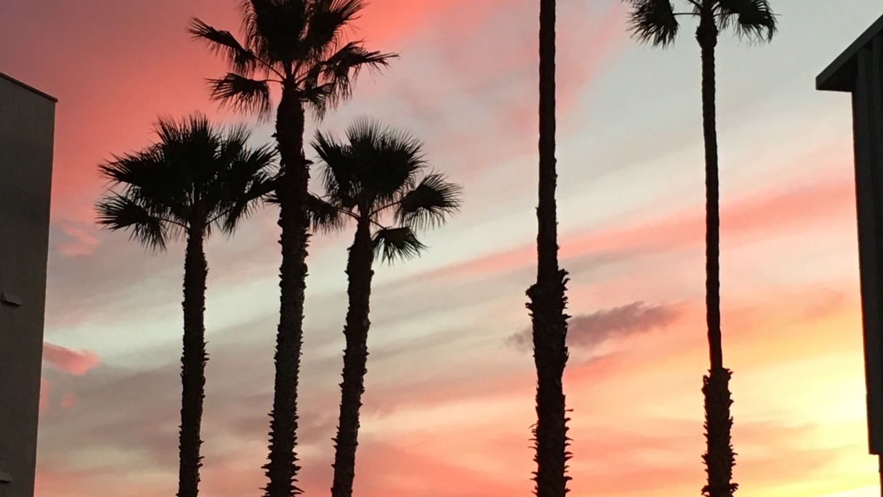 Photo of Others in South Redondo