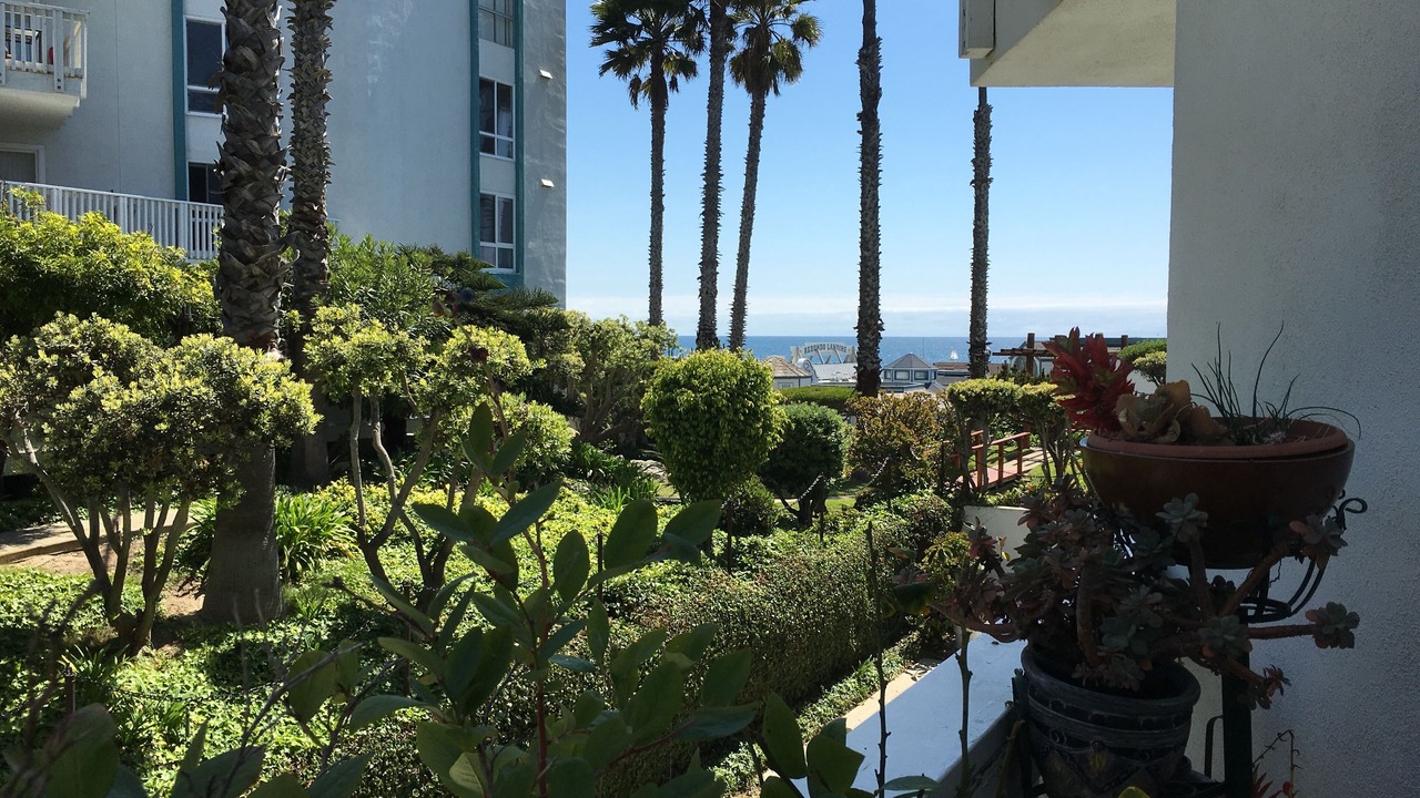 Photo of Outdoor in South Redondo