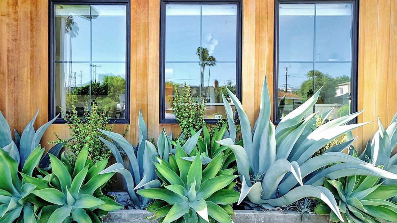Photo of Outdoor in Los Angeles